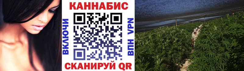 APVP Арсеньев