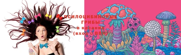 соль курить ск Алексеевка